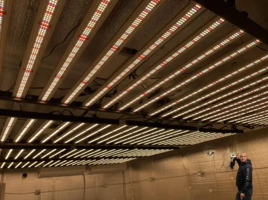 640W Folding Plant LED Grow Light Full Spectrum