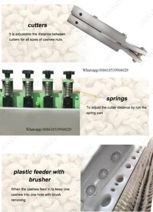 Cashew Nut Processing Machines & Equipment