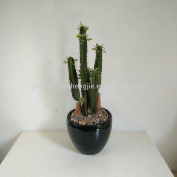 artificial cactus for decoration