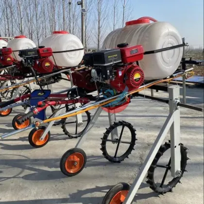 High Quality Gasoline Engine Power Spraying Machine Hand Boom Sprayer