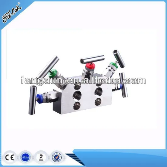 Stainless Steel 5 way valve manifolds, valve manifold