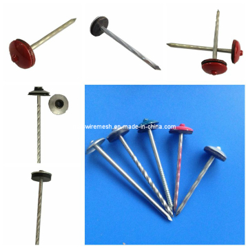 (Hot) Galvanized Roofing Nail with Umbrella Head