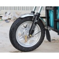 Hot selling electric cargo trike