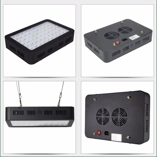 Vertical farm grow light, cactus use grow lights , grow led lighting spectrum option