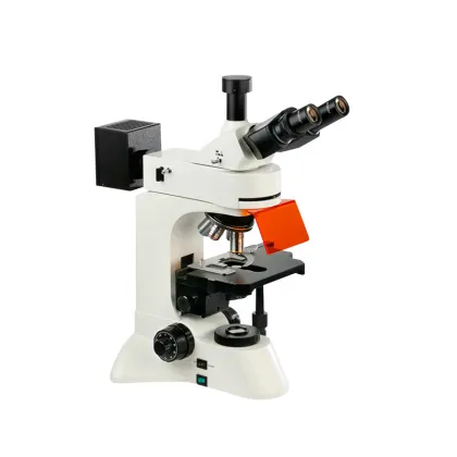Boshida BD-YG3202 Fluorescence Microscope for Genetics and Immunology Research