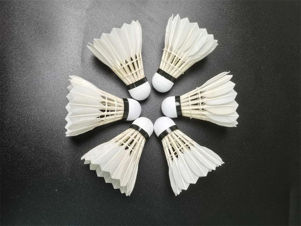 Goose Feather Five Grade Badminton