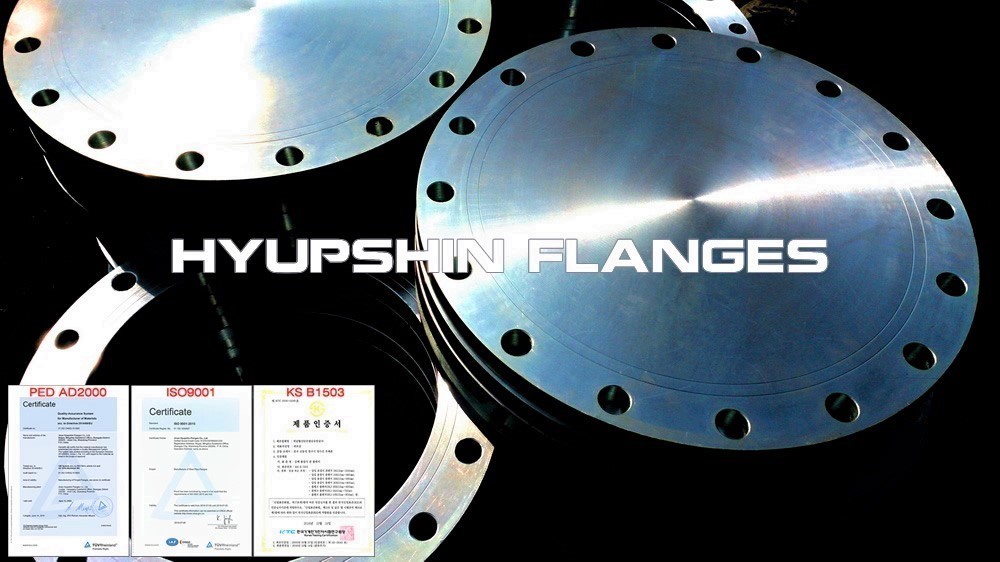 Hyupshin Flanges Blank Blind