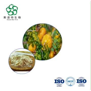 Premium Natural Rosa Roxburghii Extract Powder Bulk Buy