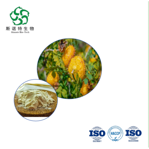 Premium Natural Rosa Roxburghii Extract Powder Bulk Buy