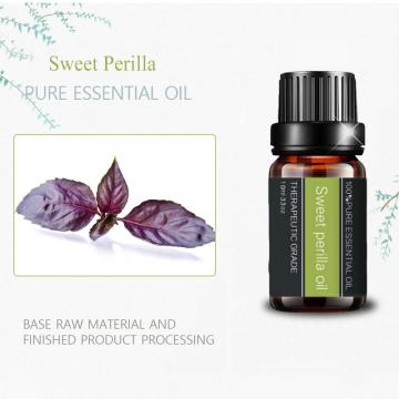 Sweet Perilla Essential Oil Private Label For Massage
