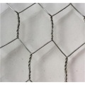 Electro Galvanized Wire Netting Electro Galvanized Hexagonal Wire Netting Supplier