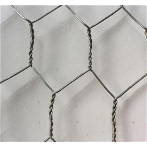 Hexagonal Netting with Electro Galvanized Electro Galvanized Hexagonal Wire Netting Manufactory