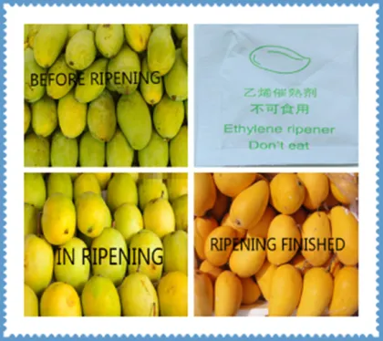 Safe Mango Ethylene Ripener