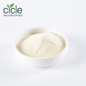 Amino Acid Powder 80% Sulfuric Acid Hydrolysis