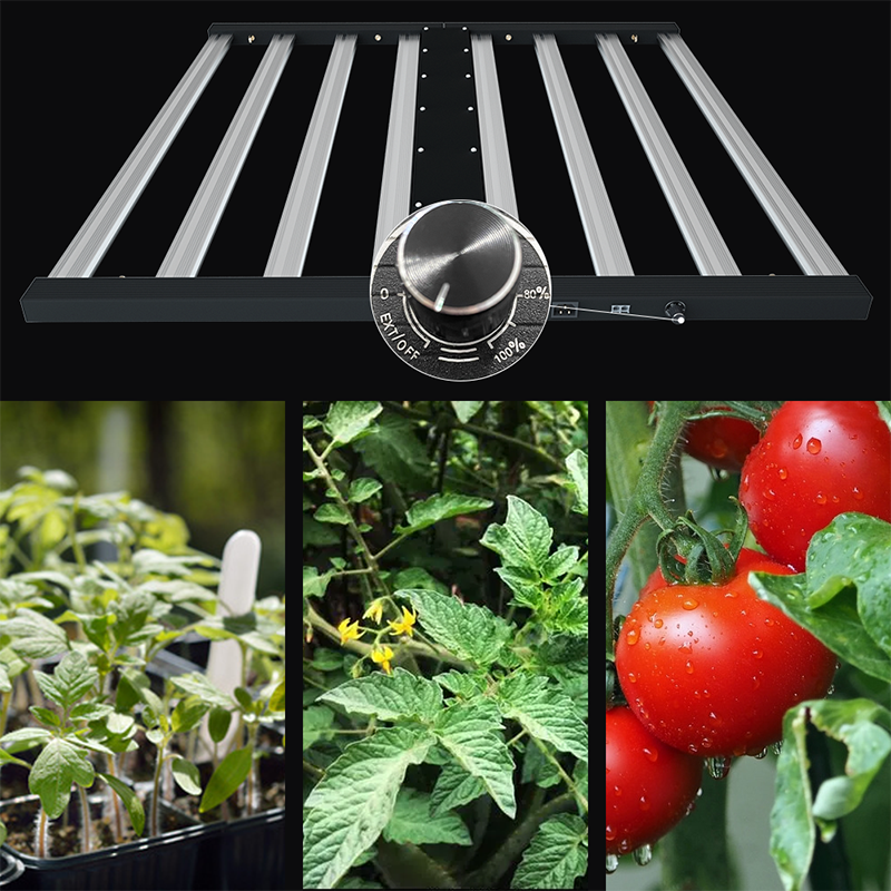 Led Hydroponics