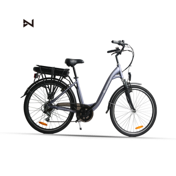 LVNENG 36V 10Ah Electric Bicycle: A Powerful 250W Electric Bike Certified to EN15194 Standards