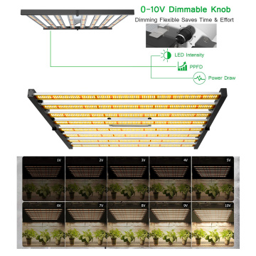 Estoque da UE cultivar luz LED Samsung