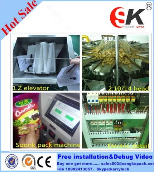 full automatic vertical citric acid packing machine(SK-200DT)