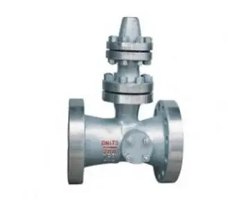power station empty row of check valve