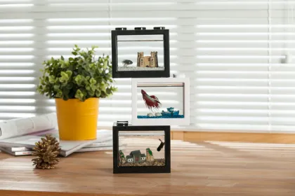 accessories for aquarium fish tank