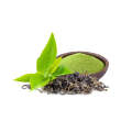 Green Tea Extract with 98 Polyphenols