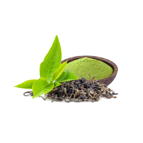 Green Tea Extract with 98 Polyphenols