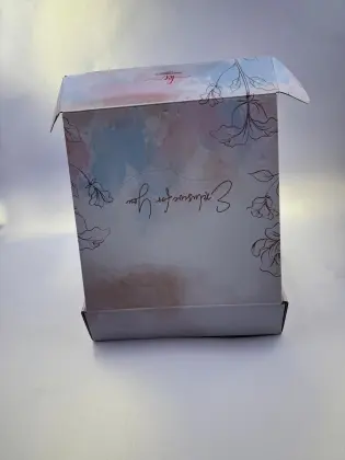 Color Printed Laminated Whiteboard Paper Airplane Box