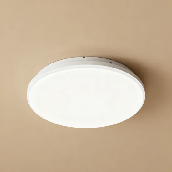 Energy Efficient 24W LED Ceiling Fixture