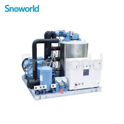Snow world Flake Ice Machine in Malaysia