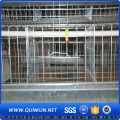 En typ Automated Broiler Chicken Cage