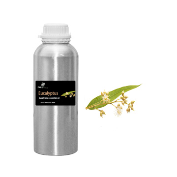 Atacado 100% puro natural não diluído Eucalipto orgânico eucalipto Oil para óleo de aromaterapia natural