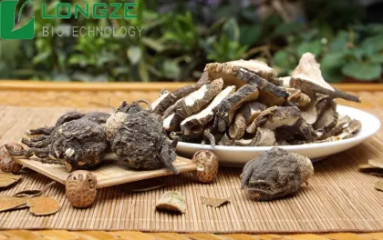 Pure natural Black Maca Root Extract Powder