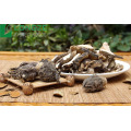 Black Maca Root Extract For Enhance Energy