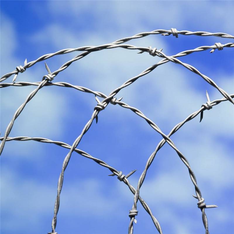 barbed wire