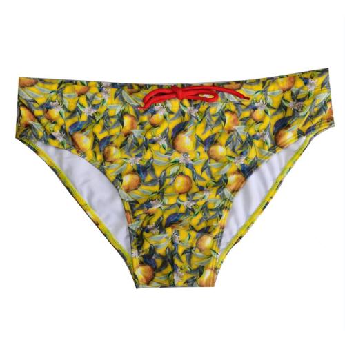 Nylon men brief swimwear