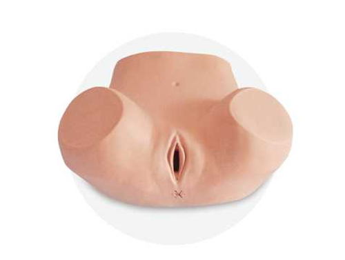 Puncture of Posterior Fornix of Vagina Model