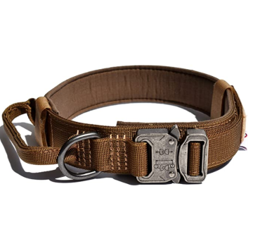 Heavy Duty Dog Collar with Handle