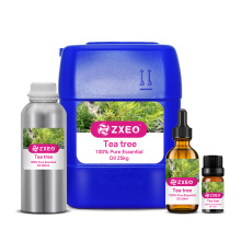 Aromaterapi Teh Organik Minyak Esensial Minyak pohon teh murni alami untuk rambut wajah kulit kulit kepala kulit jerawat