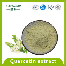 95% hoher Reinheit Quercetin -Extraktpulver
