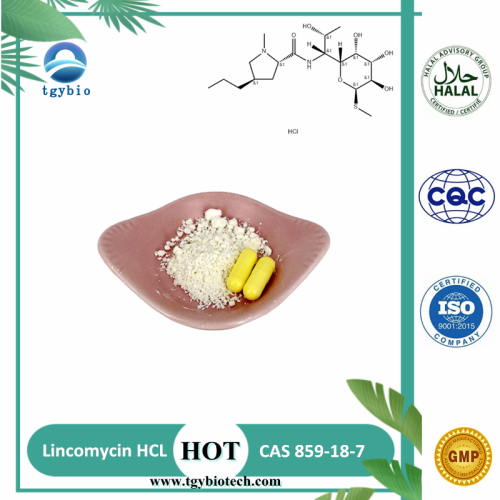 Furazolidone Powder High Quality Lincomycin Hydrochloride CAS859-18-7 Manufactory