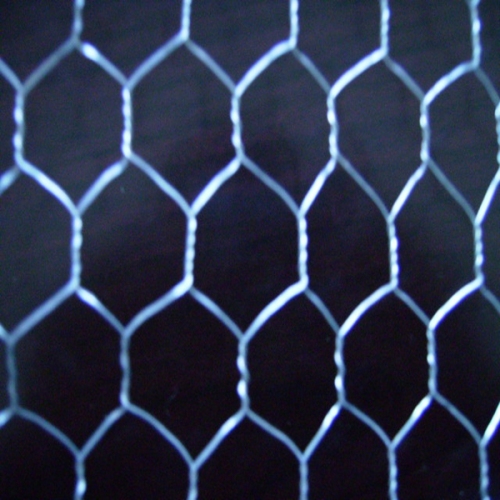 Chicken Wire Mesh/Hexagonal Wire Mesh