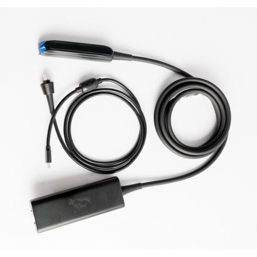 Fast Scan L ultrasound cows for pregnancy