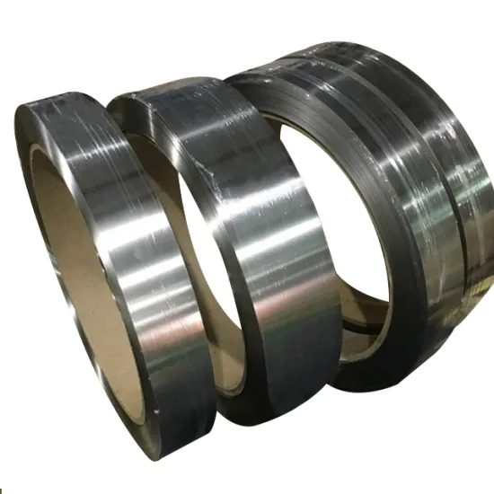 High-Quality 304 Cold Rolled Stainless Steel Strip for Home Appliances and Industries