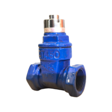 Lockable Threaded Soft Seat Gate Valve
