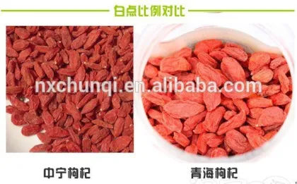 Navita's Naturals Organic sundried goji berry