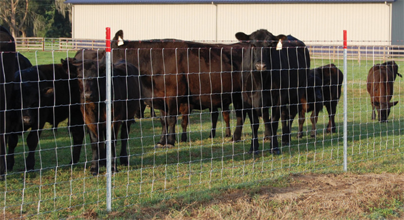 high tensile steel fencing