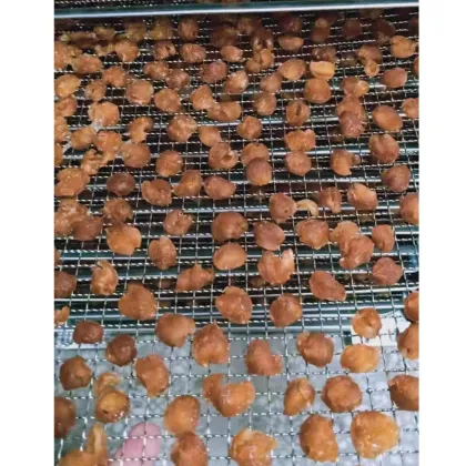 Creative Design Fruit and Vegetable Food Dryer for Gooseberry