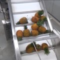 Pineapple Washing and Cleaning Line