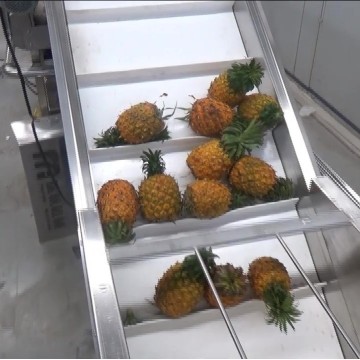 Ligne de lavage et de nettoyage d&#39;ananas