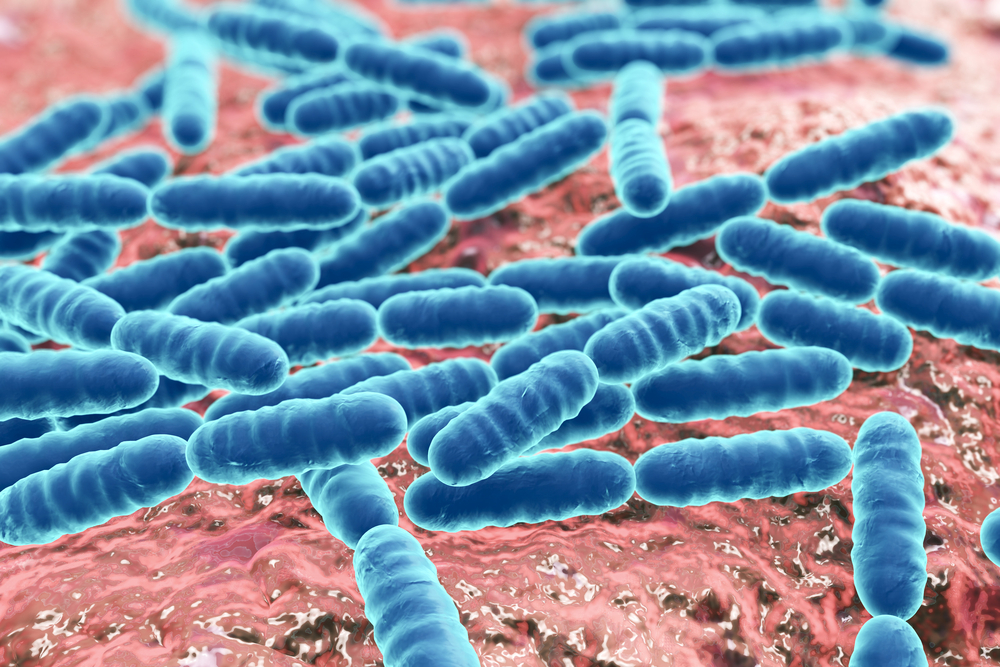 Saccharomyces boulardii1